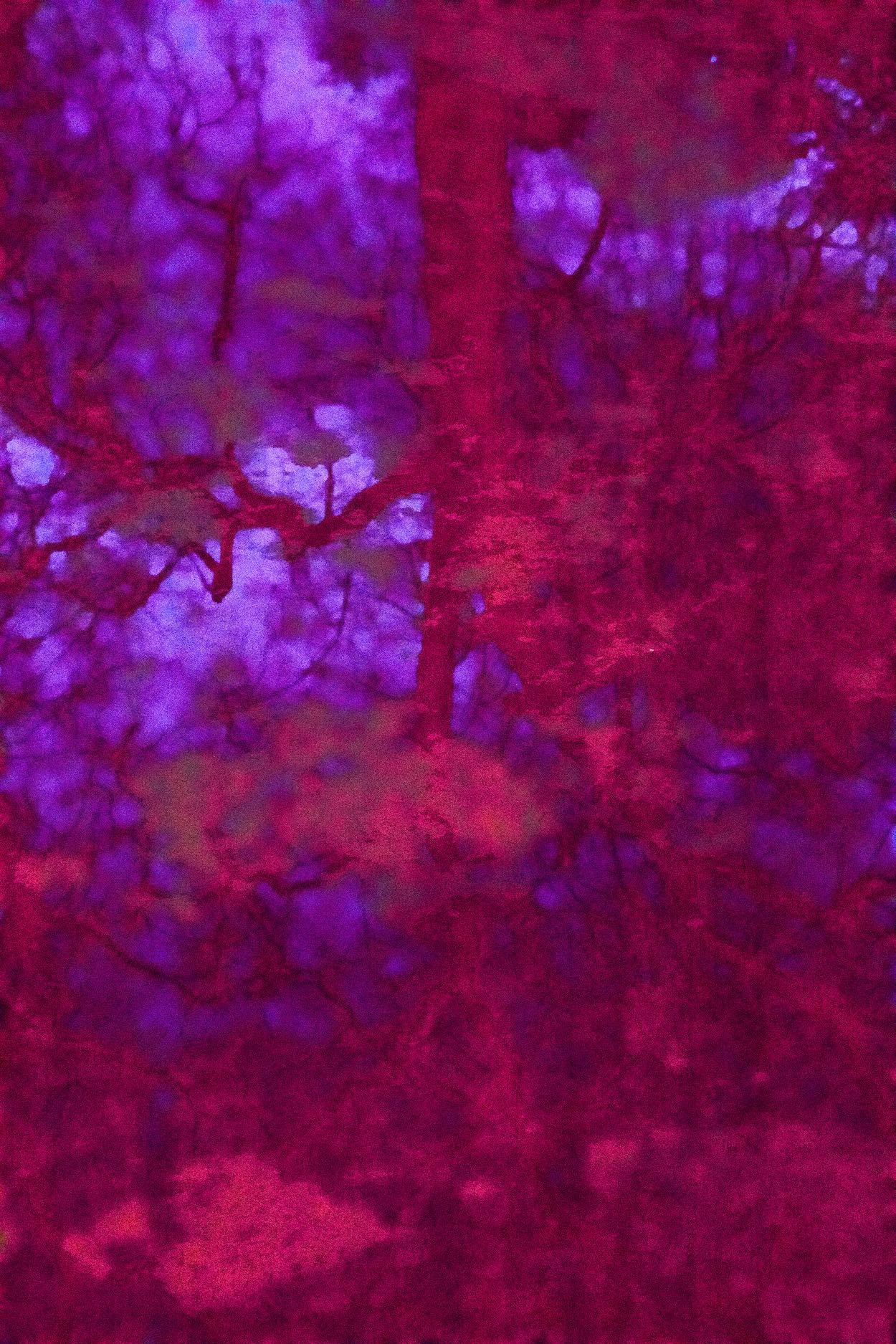 plants painting 1